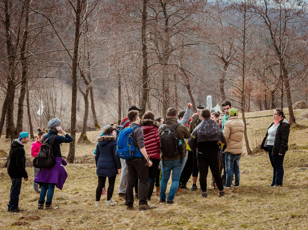 Soare-n Maramures主图