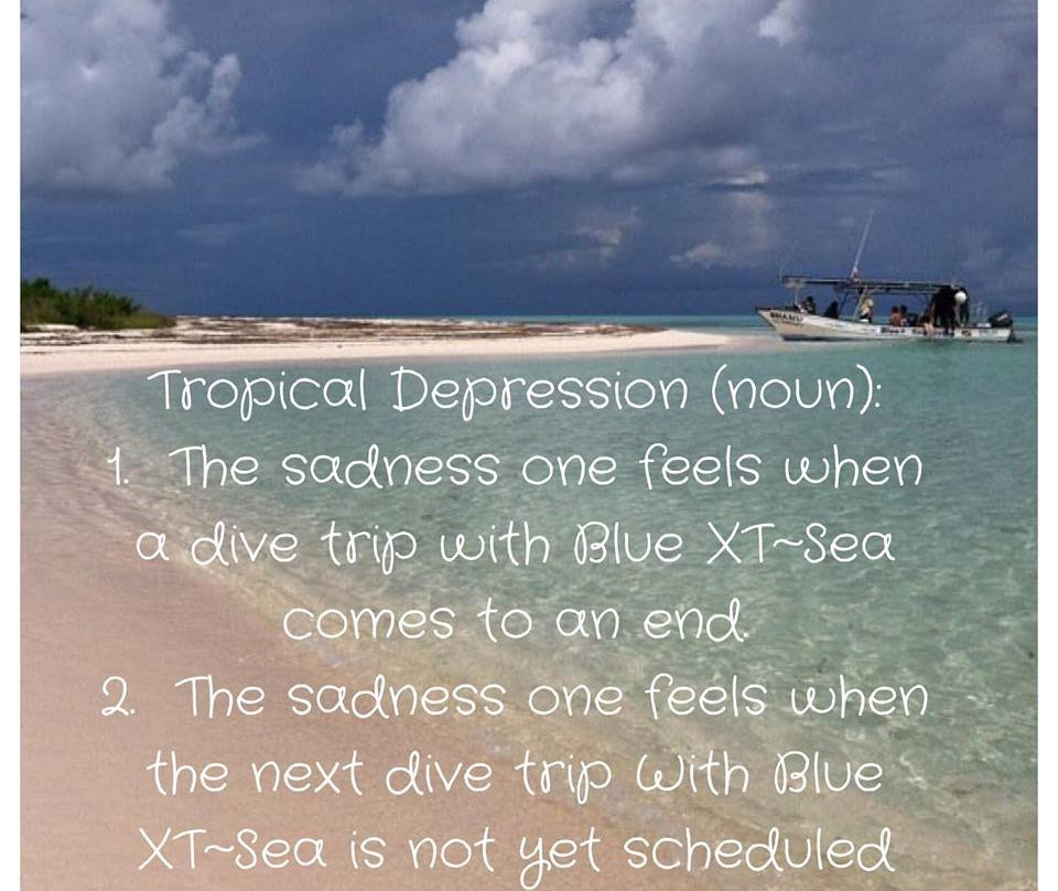 Blue XT Sea Diving景点图片