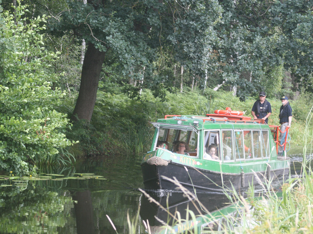 Kitty-沃金必去景点