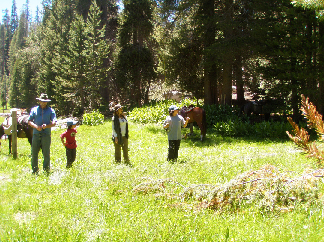 Golden Trout Wilderness Packtrains景点图片