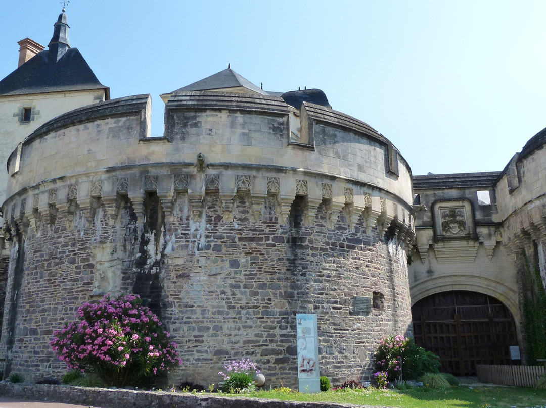 Château d'Ancenis景点图片