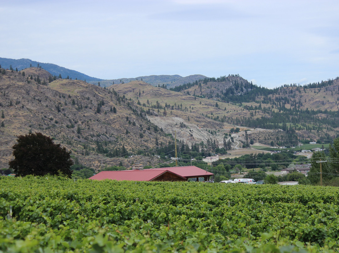 Quinta Ferreira Estate Winery景点图片
