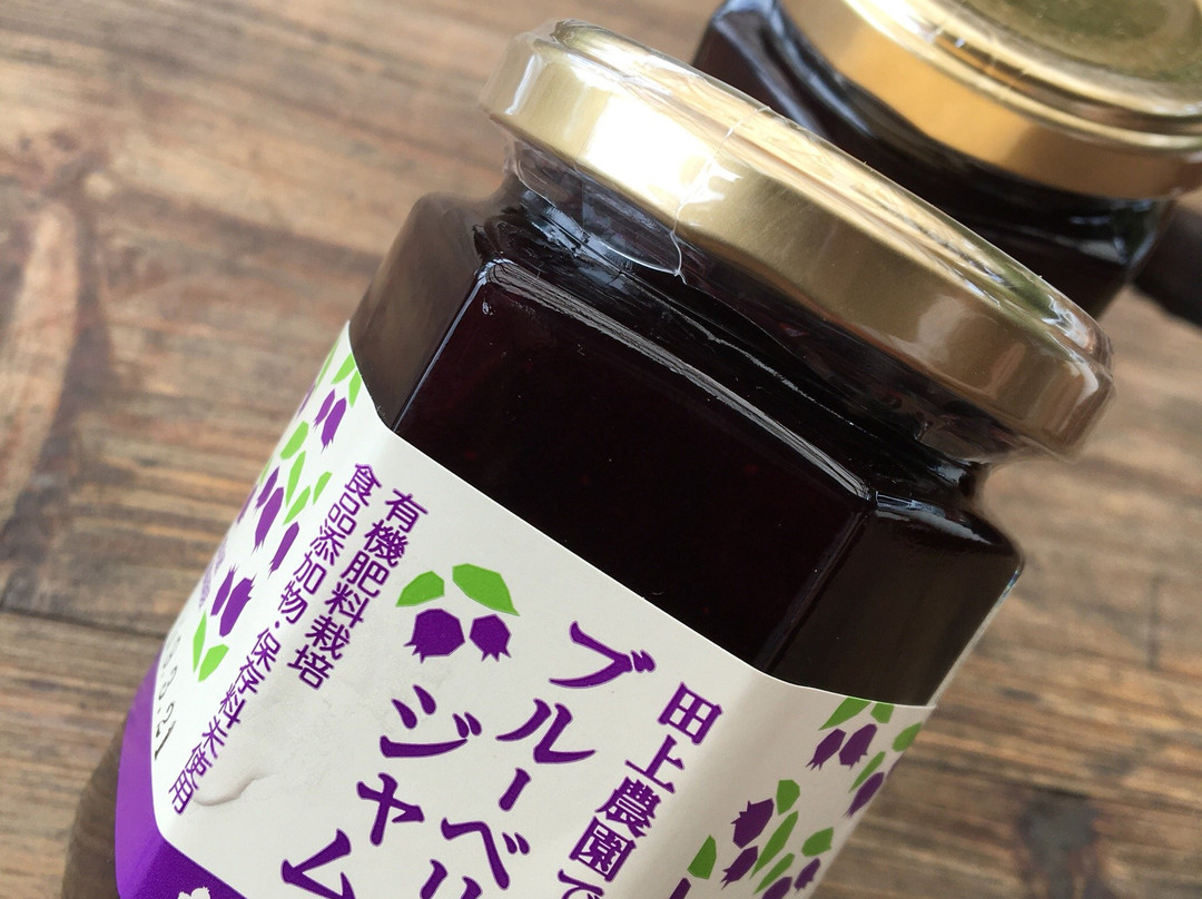 Tagami Farm-下吕市必去景点