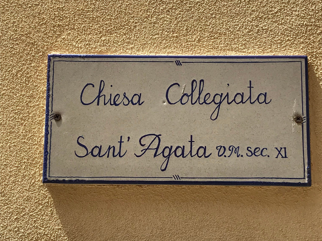 Chiesa Collegiata di Sant'Agata V.M.景点图片