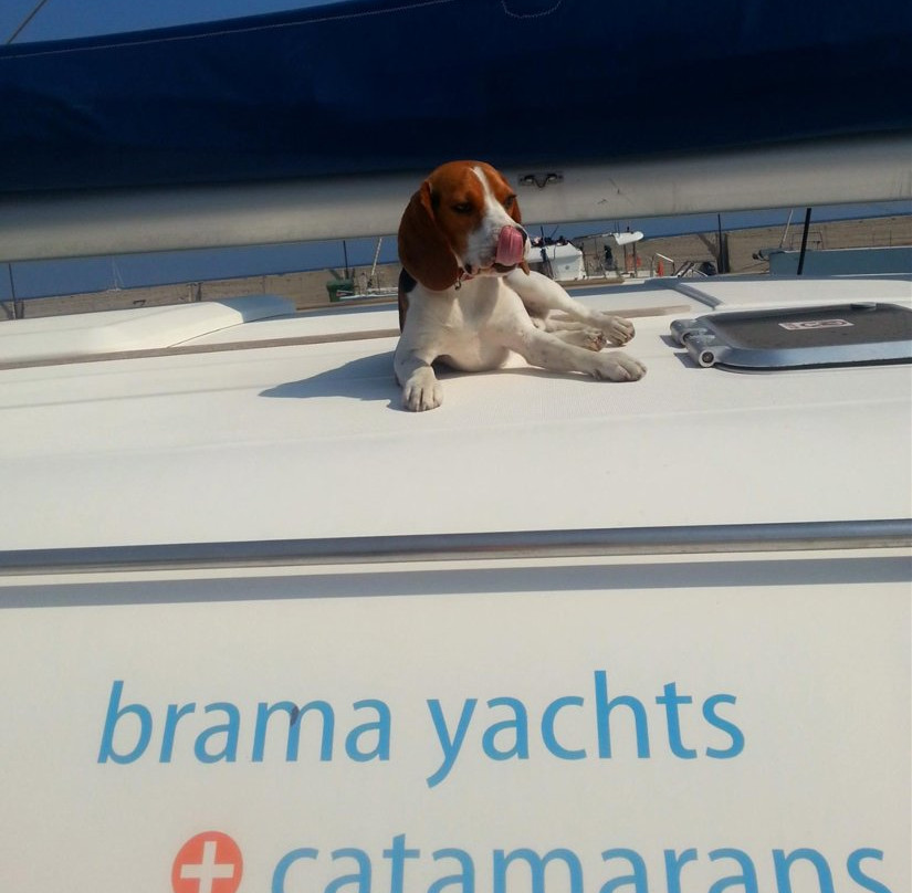 Brama Catamarans Sailing Cruises景点图片