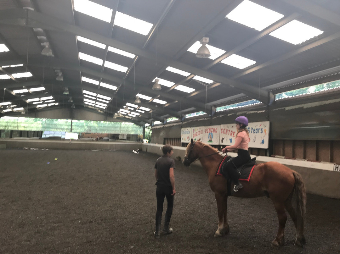Rheidol Riding Centre景点图片