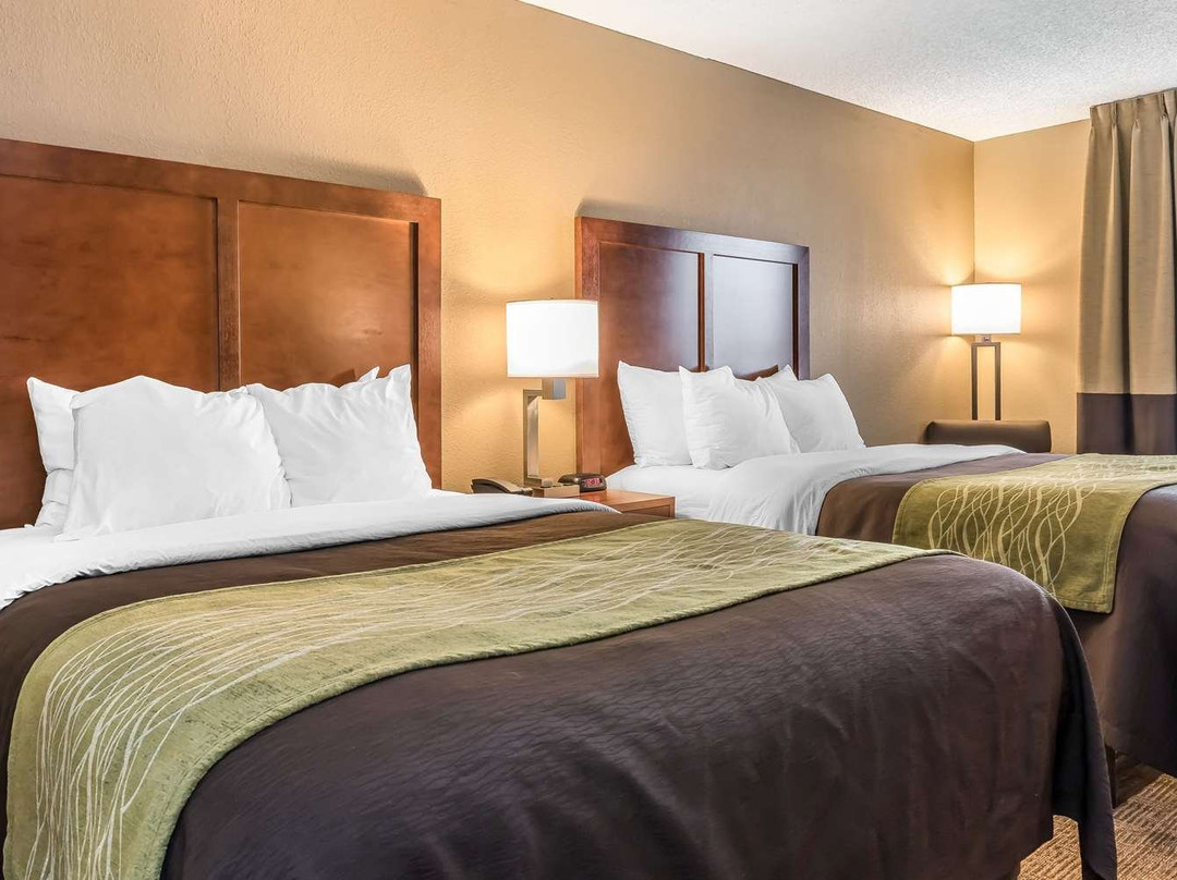 Comfort Inn & Suites Piqua-Near Troy-I75主图