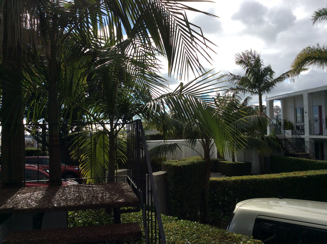 Mt Albert Motor Lodge主图