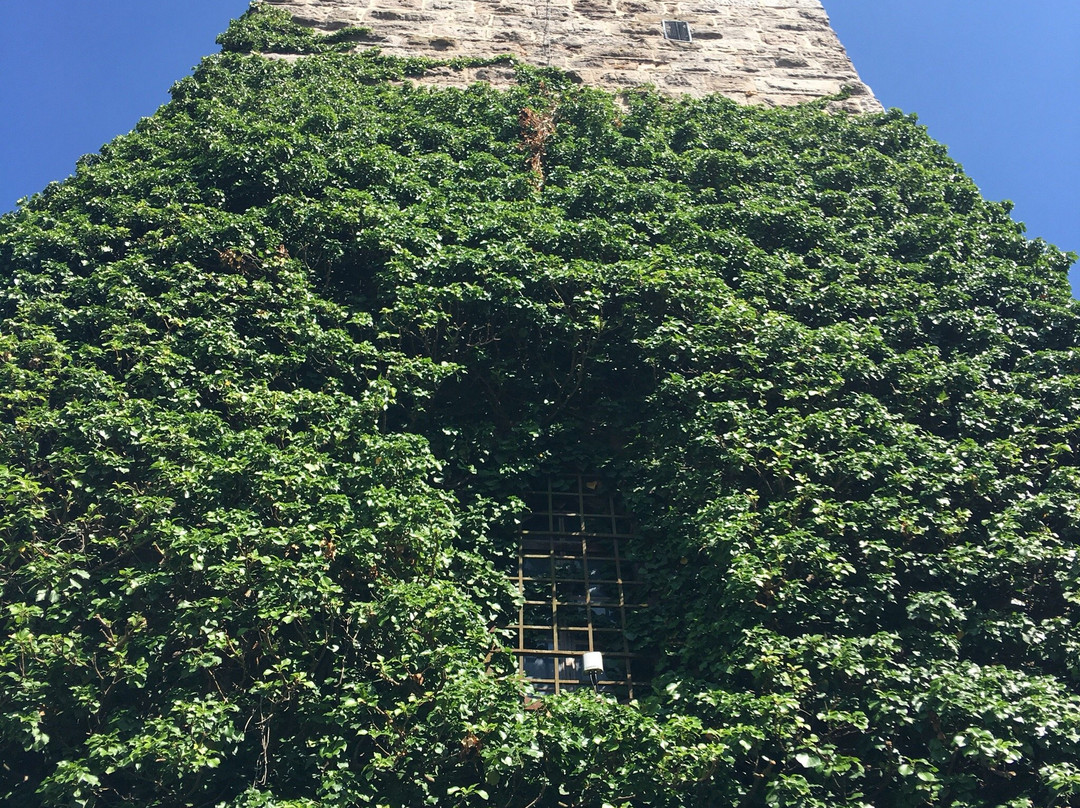 Stadtbuecherei Herzogenaurach景点图片
