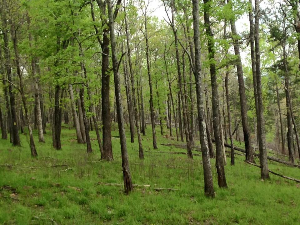 Sprewell Bluff Park-Thomaston必去景点