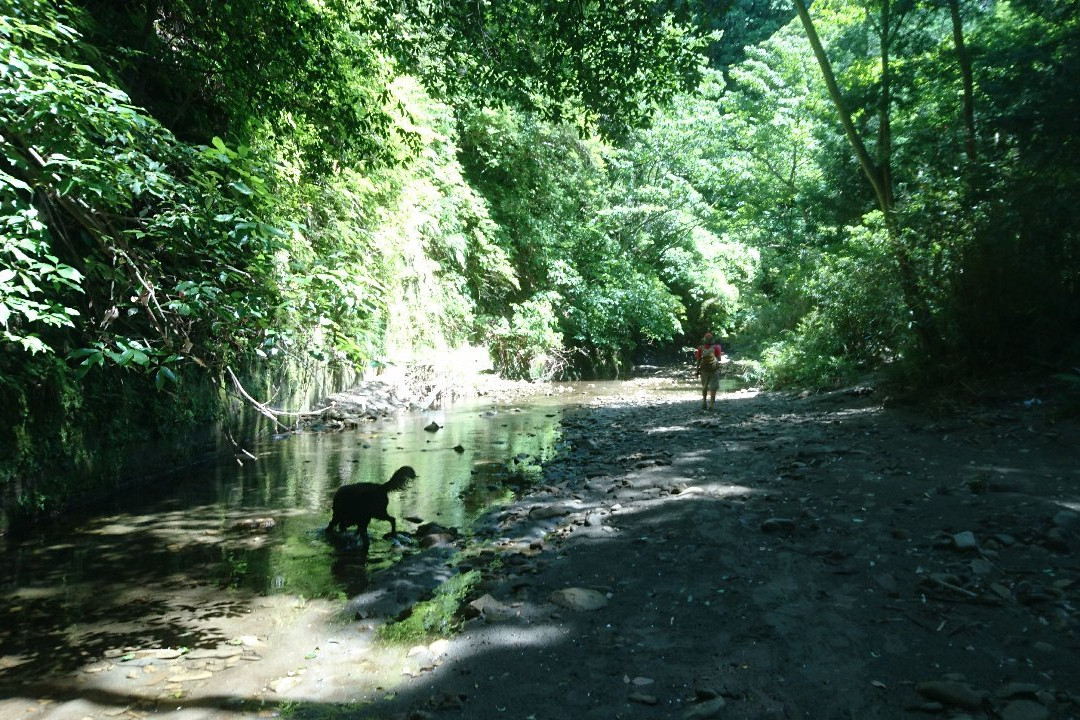 Umegase Valley-市原市必去景点