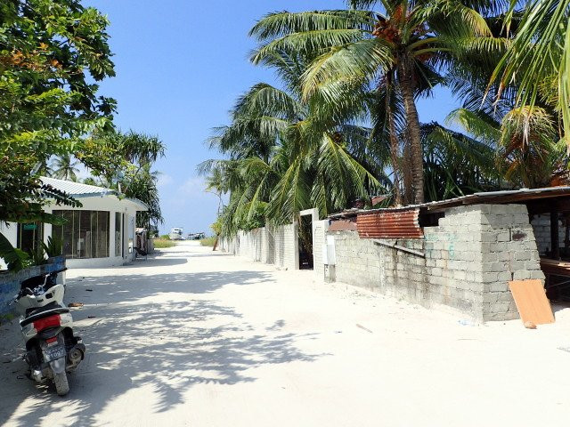 Whale Shark Inn主图