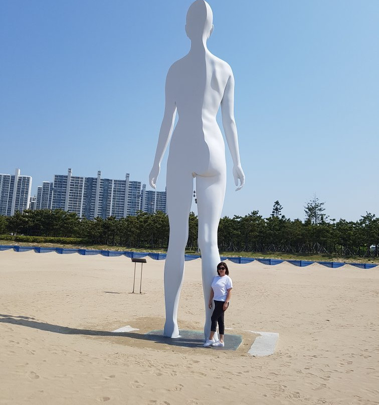 Dadaepo Beach景点图片