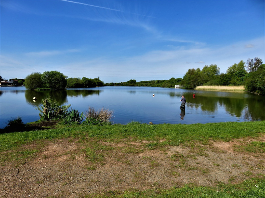 Townhill Country Park-丹弗姆林必去景点