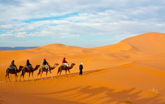 Morocco Excursions-马拉喀什必去景点