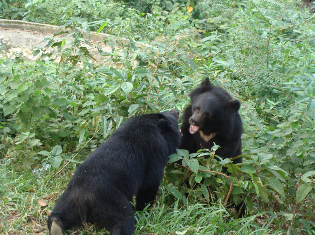 Dulahazra Safari Park景点图片