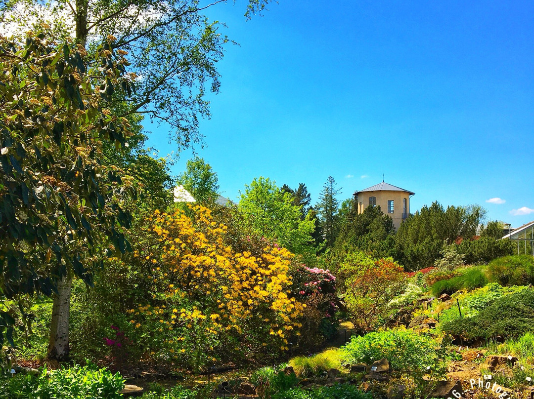 Botanischer Garten-哈雷必去景点