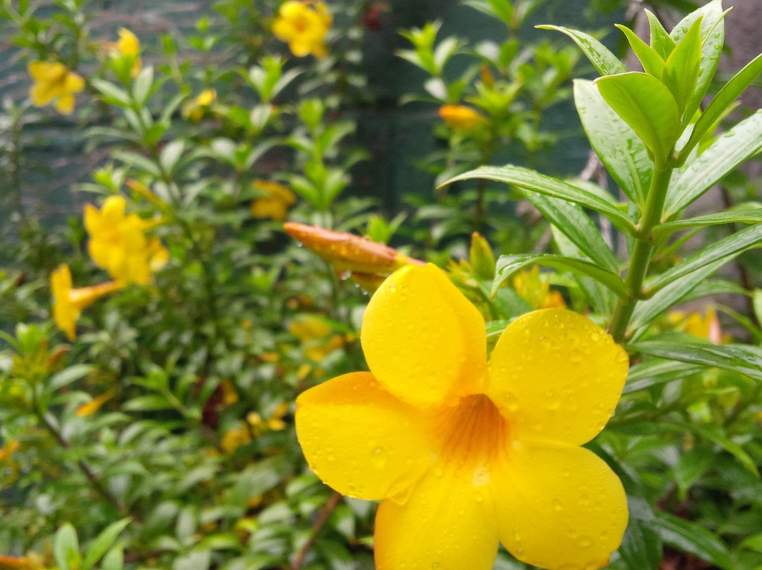 Dad's Holiday Home主图