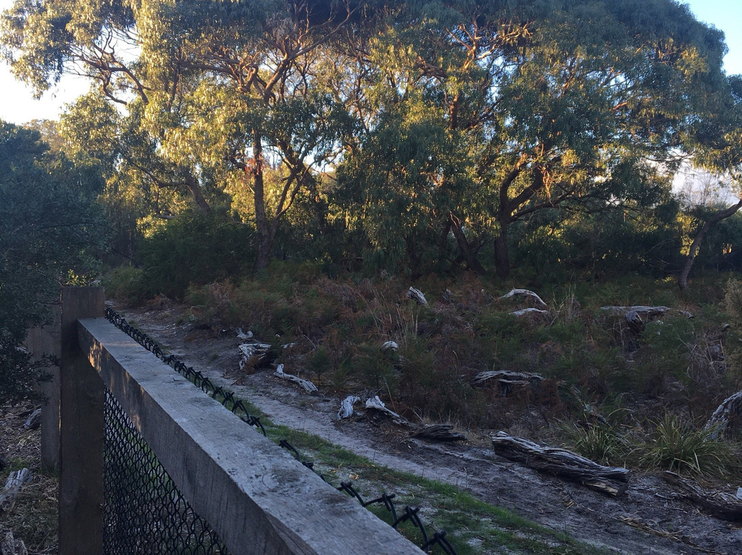 Bay Road Heathland Sanctuary-Sandringham必去景点