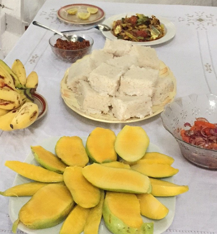 Silvas Surf Home主图