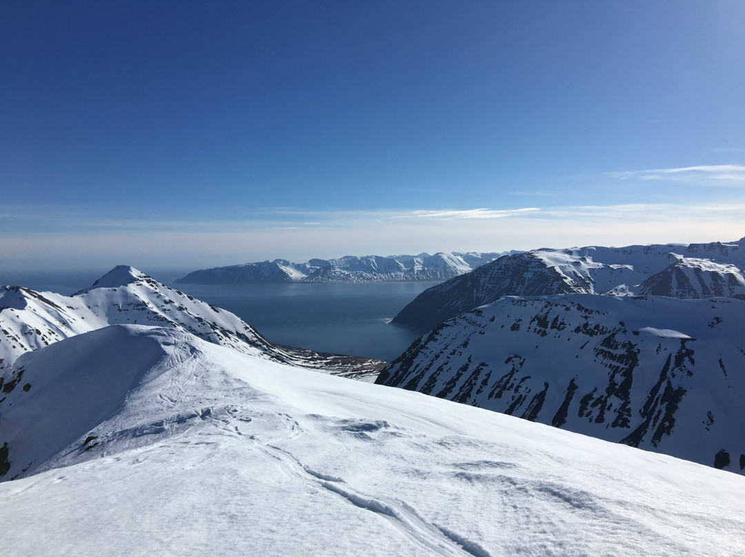 Viking Heliskiing Iceland