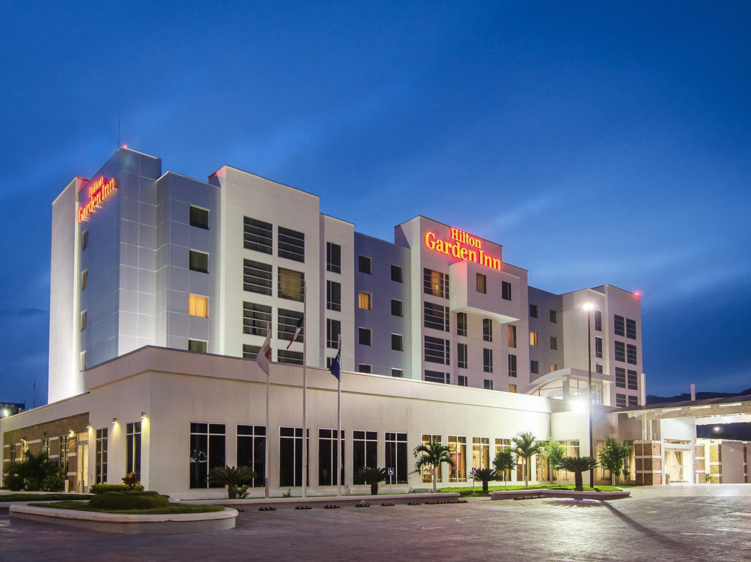 Hilton Garden Inn Tuxtla Gutierrez主图