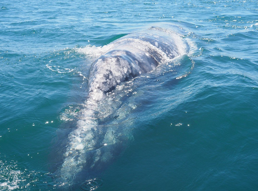 Ecoturismo Kuyima-San Ignacio必去景点