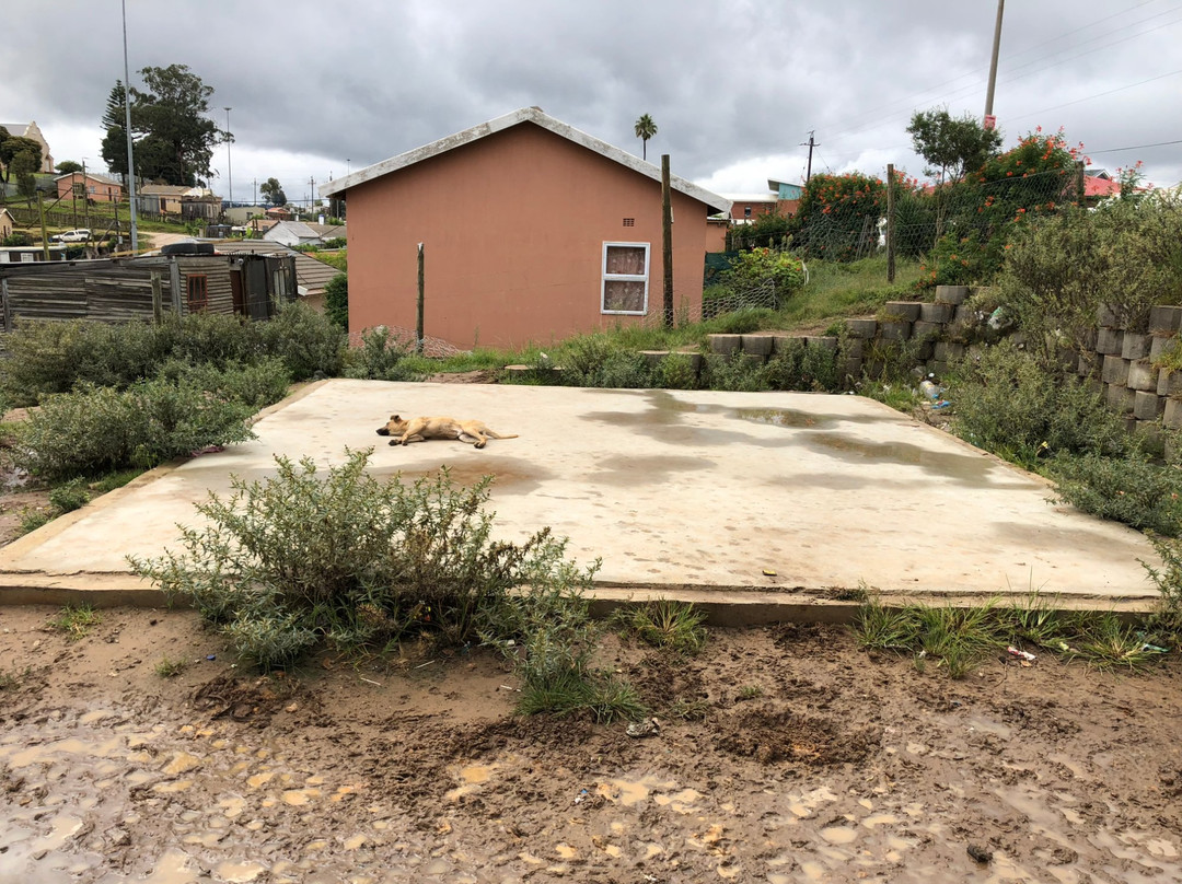 Peggy's African Art and Tours-克尼斯纳必去景点