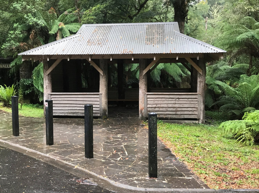 Balook旅游景点-Cyathea Falls