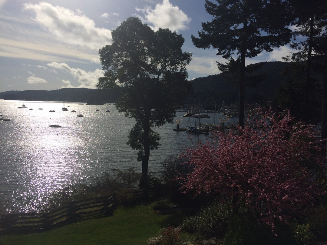 Hastings House Country House Hotel主图