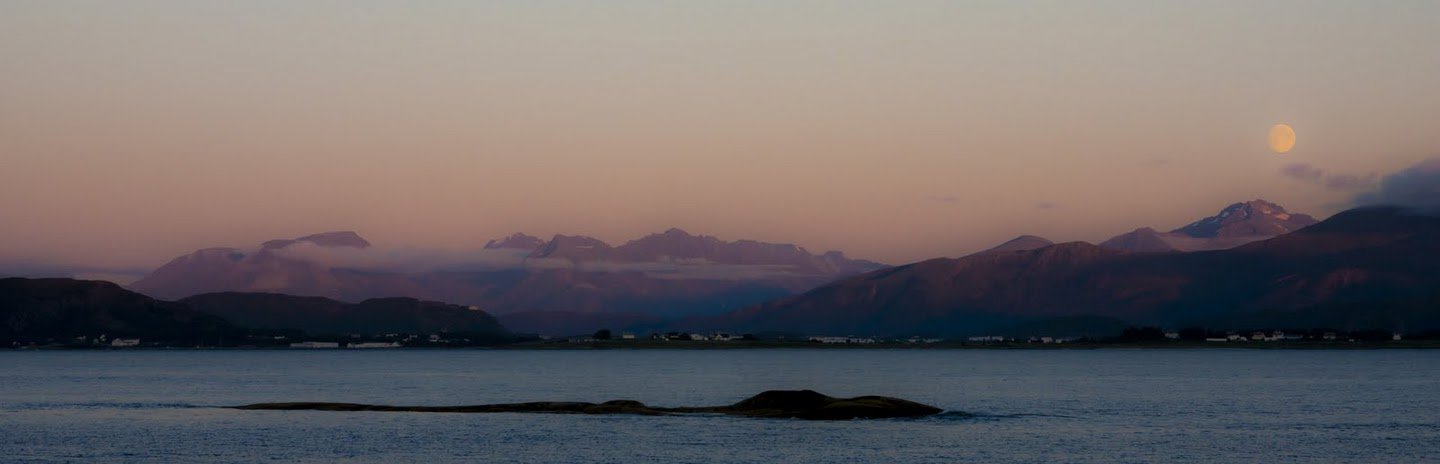 Vigra Fjordhotell-泳池