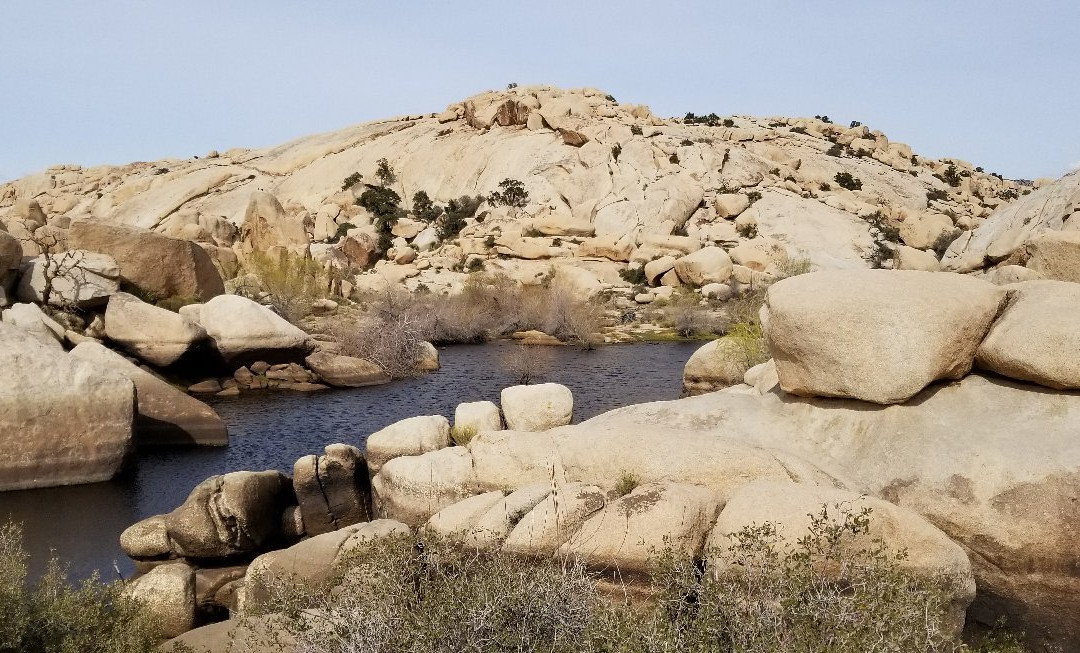 二十九棕榈村旅游攻略图片
