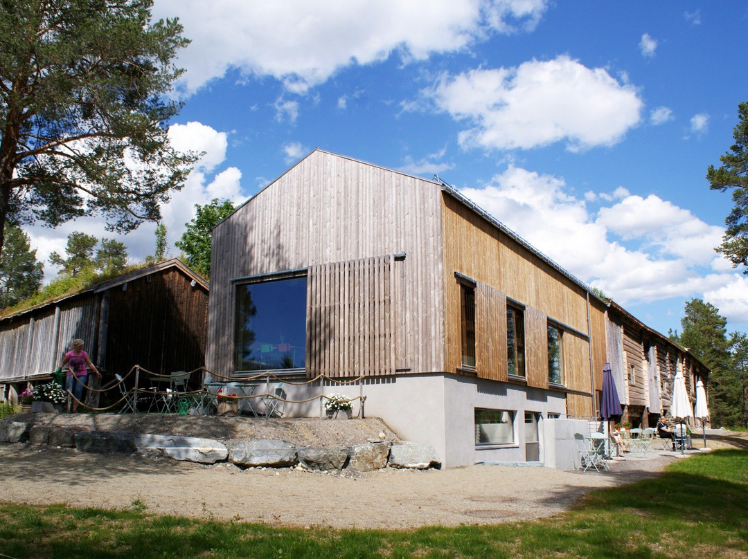 Rindal Skimuseum景点图片