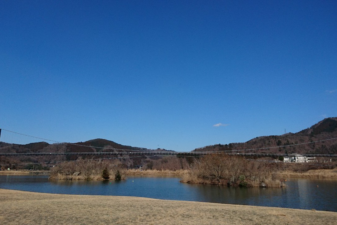 Lake Miyagase景点图片