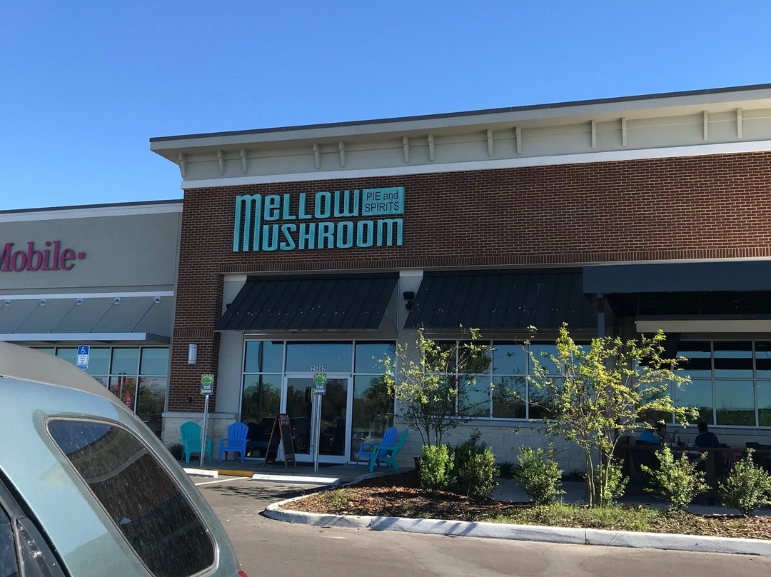 Mellow Mushroom Wesley Chapel