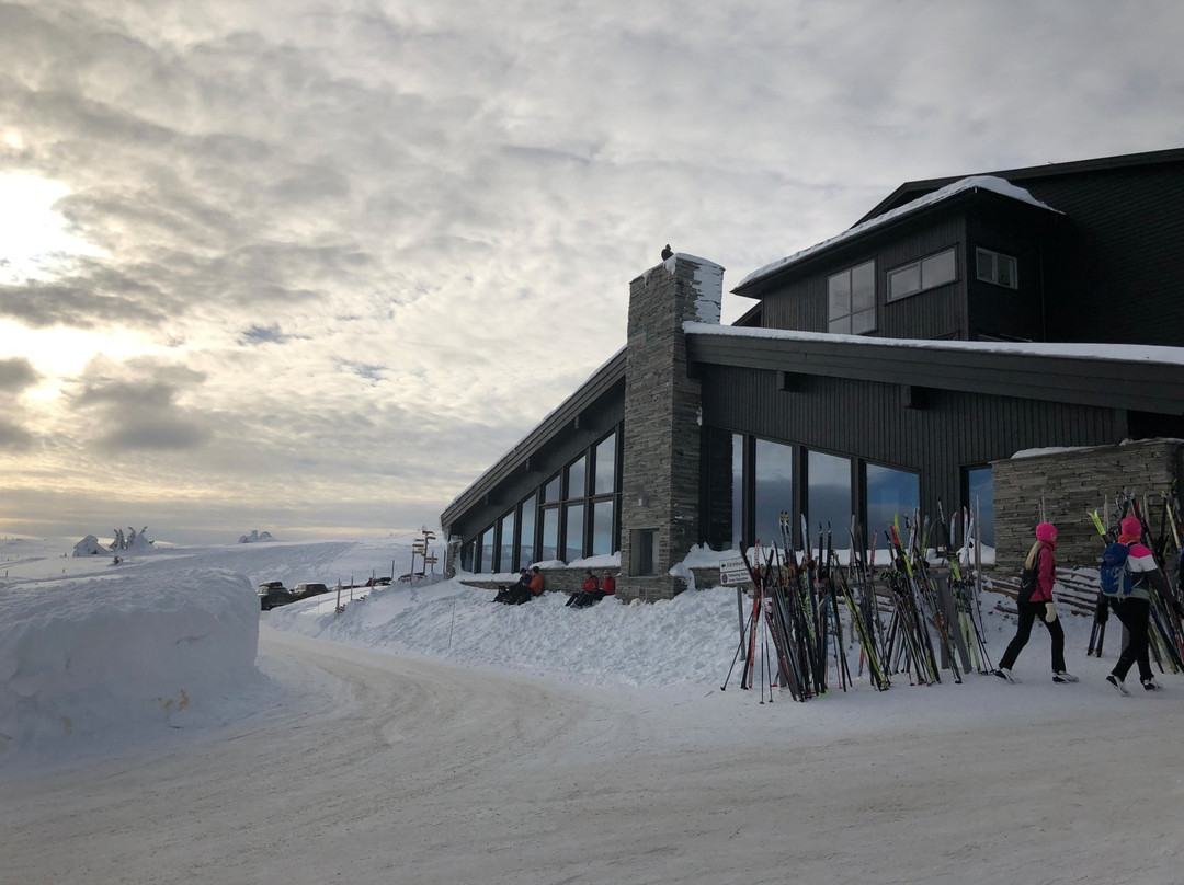 Pellestova Hotel Hafjell主图