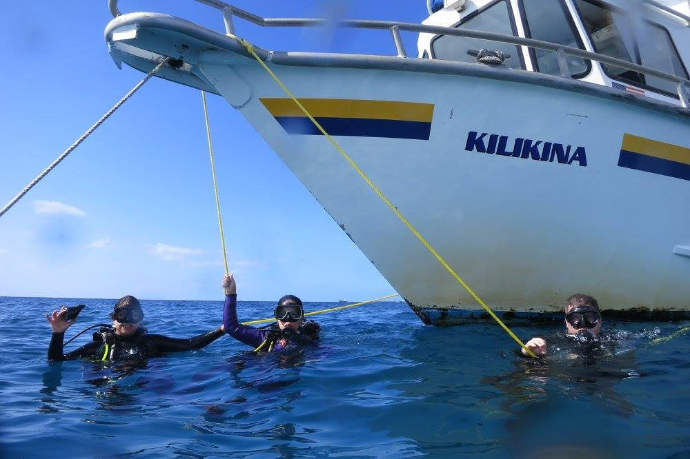 Hawaiian Diving Adventures-火奴鲁鲁必去景点