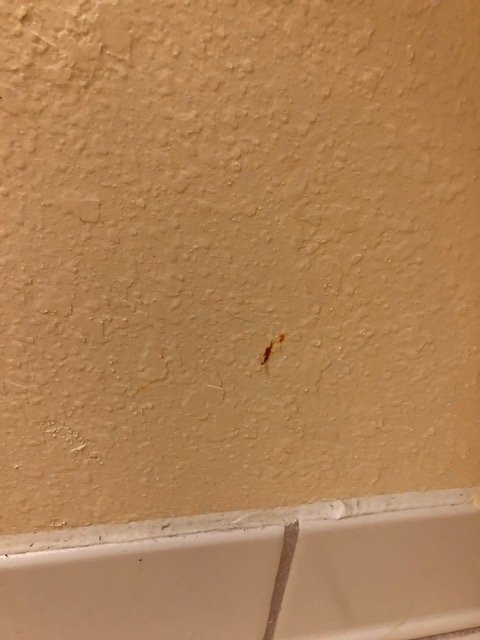 Days Inn By Wyndham Coliseum Montgomery AL主图