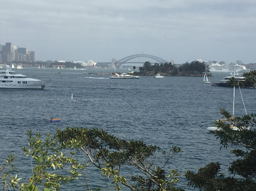 玫瑰湾至尼尔森公园漫步-悉尼必去景点