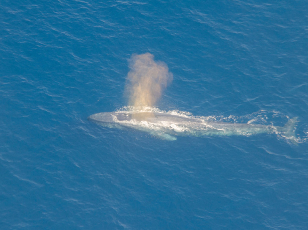 F.air-加勒必去景点
