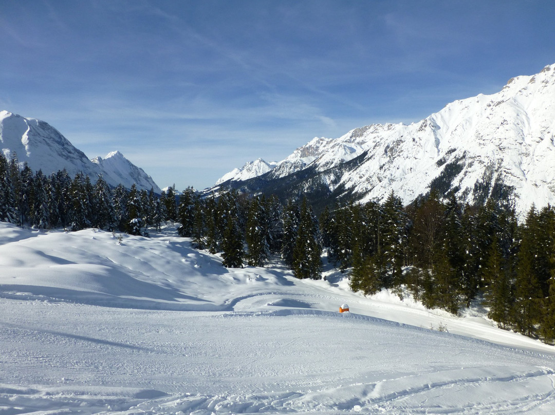 Skigebiet Hochmoos景点图片