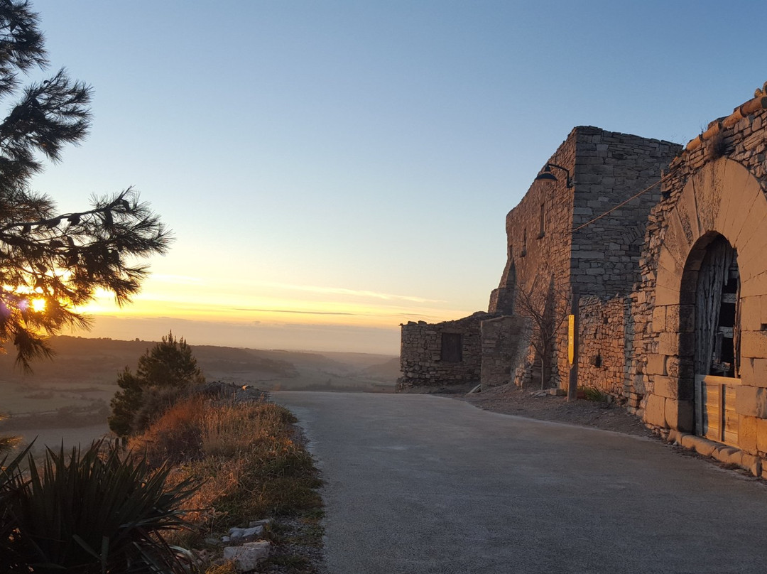 Castell de Granyena景点图片