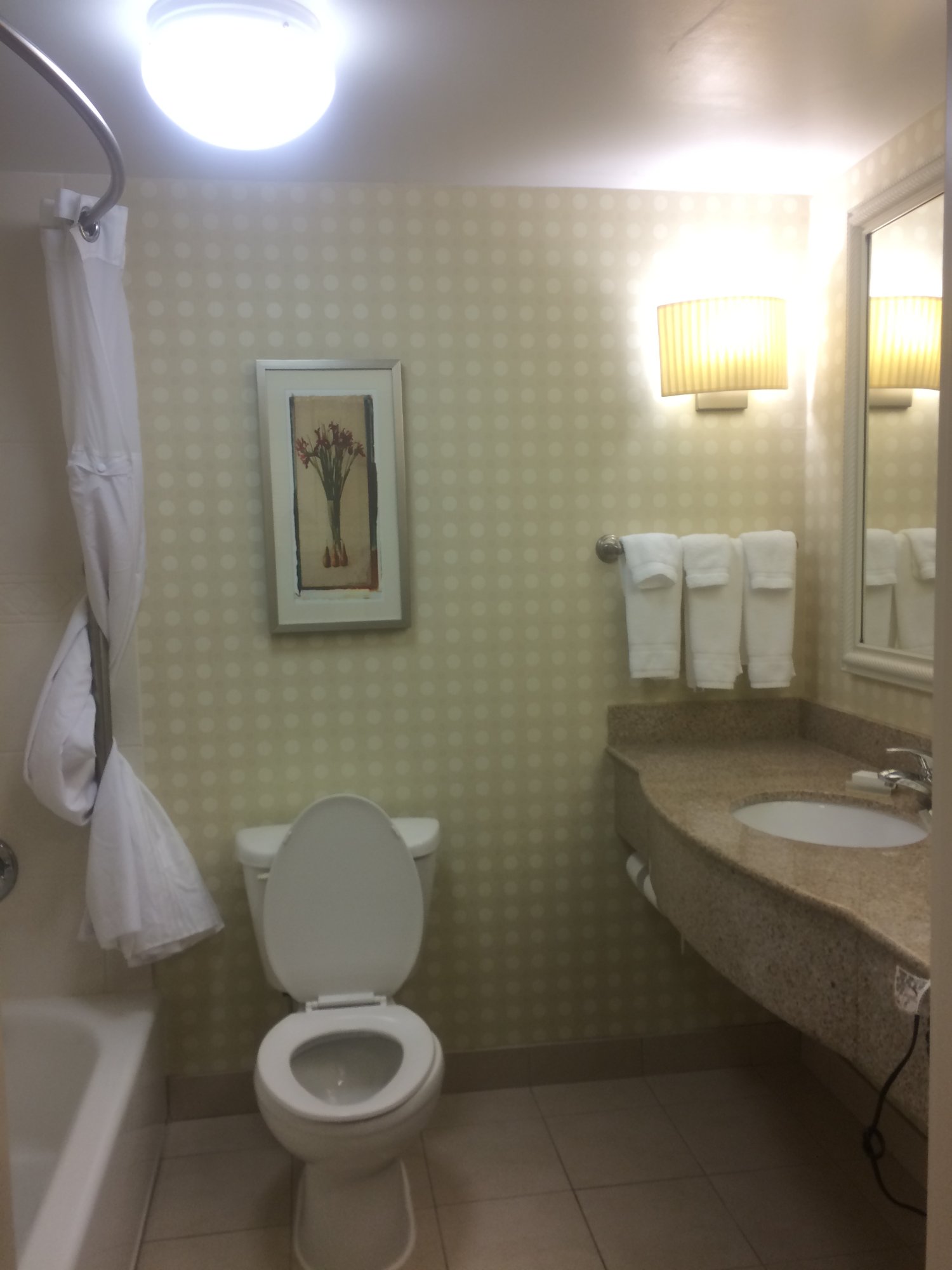 Hilton Garden Inn Aiken-浴室