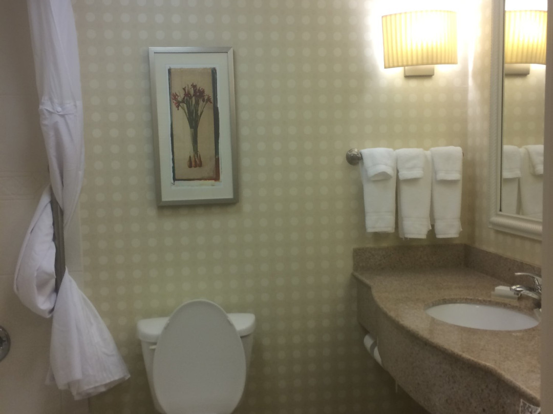 Hilton Garden Inn Aiken主图