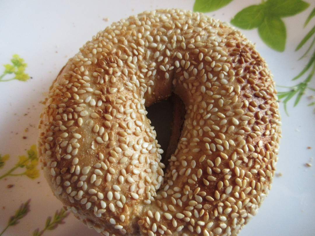 Winnipesaukee Bay Gulls