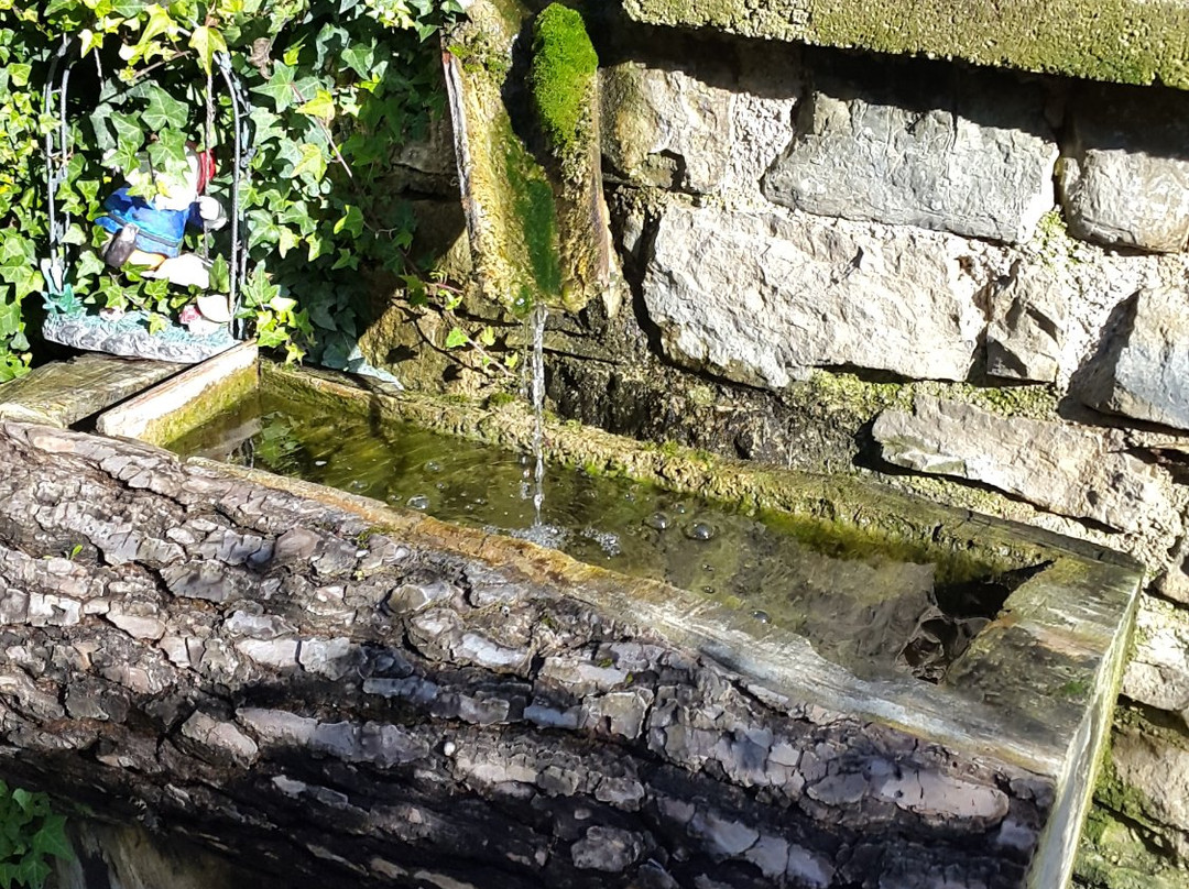 B&B La Sorgente Felitto主图