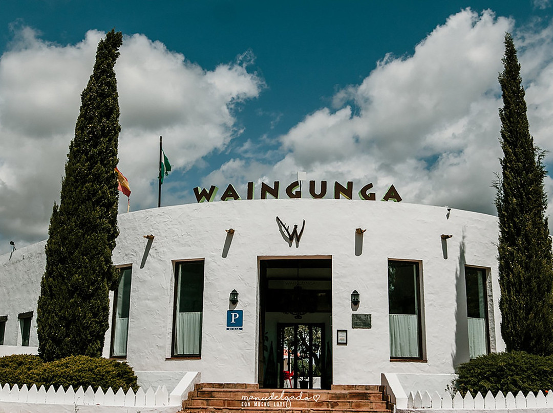 Grupo Waingunga