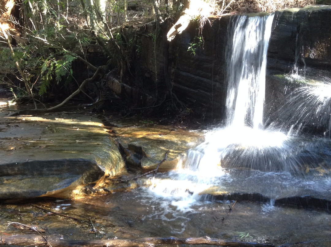 Kellys Falls Track-海伦斯堡必去景点