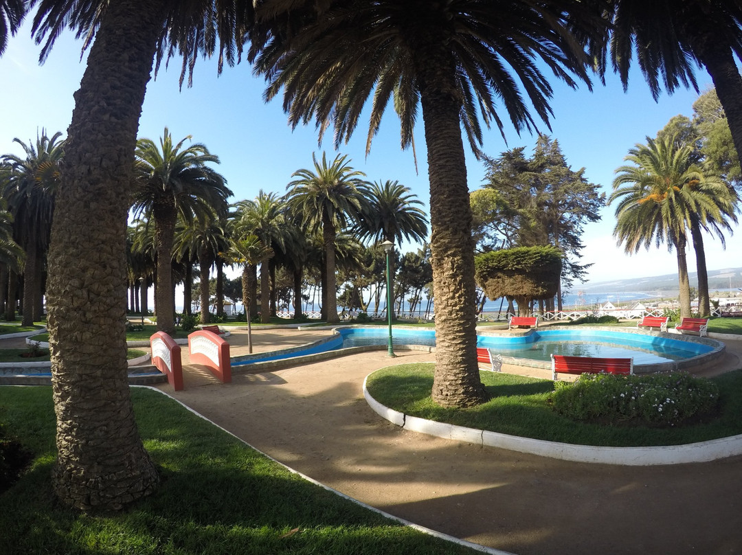 Parque Ross-皮钦勒姆必去景点