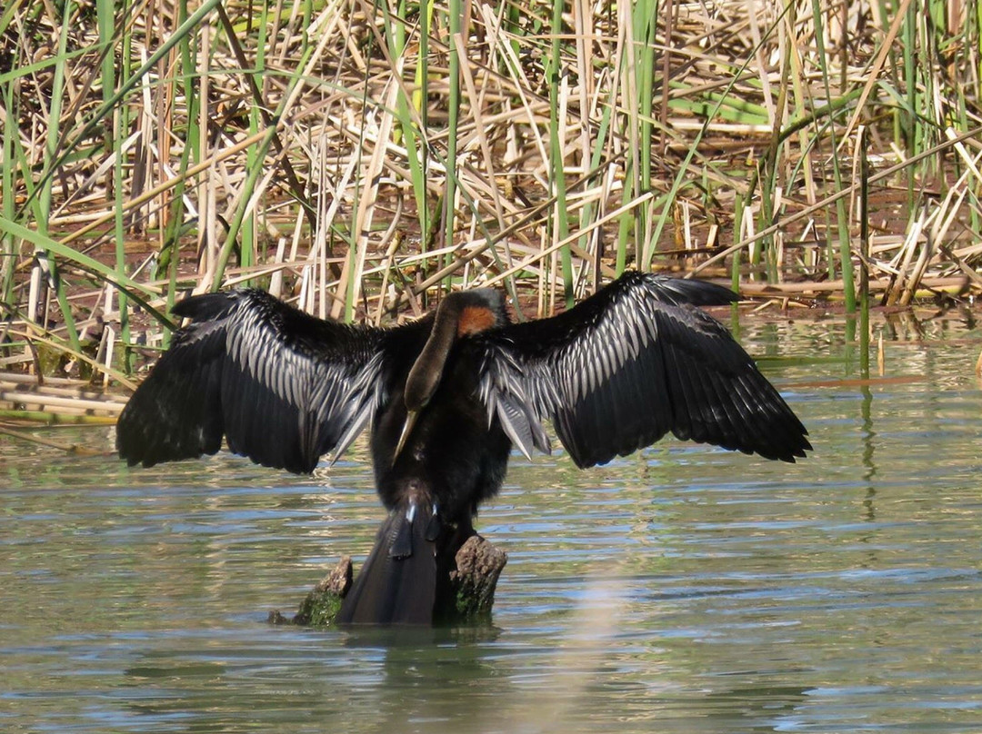Kings Billabong Park-Irymple必去景点